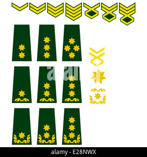 Military ranks and insignia of the world. Illustration on white background. Stock Photo