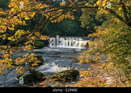 Autumn and the Upper Aysgarth Falls in the Yorkshire Dales National Park, Stock Photo