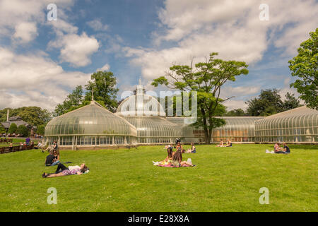 Botanic Gardens, Glasgow, Scotland, UK. 17th June, 2014.  Despite it being the hottest day of the year and there being cloudy spells, this isn't stopping people relaxing in the park. Paul Stewart/Alamy News Stock Photo