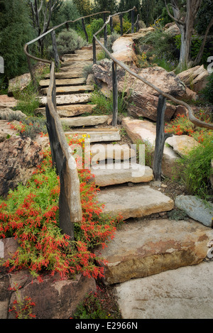 Stone steps with red Beard-tongue penstemon. Betty Ford Alpine Gardens. Vail, Colorado Stock Photo