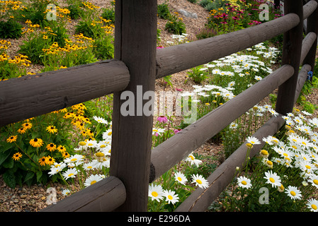 Fence and garden flowers. Vail Village, Colorado Stock Photo