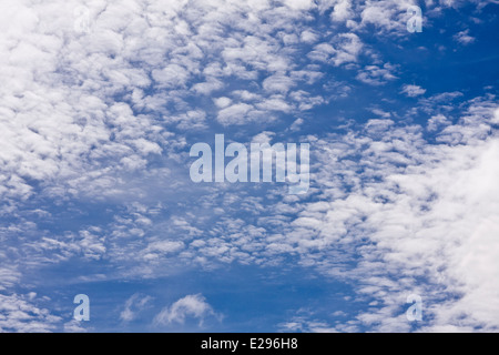 Cirrocumulus 