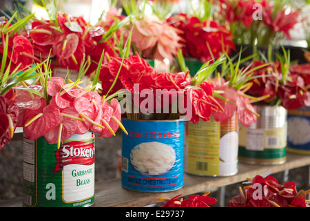 Anthuriums for sale at the Hilo farmer's market Stock Photo