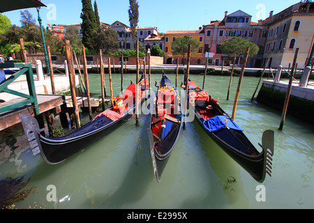 Venice,Venezia, three Gondolas moored on the canal, beautiful hand crafted boats privately owned and free to hire family owned. Stock Photo