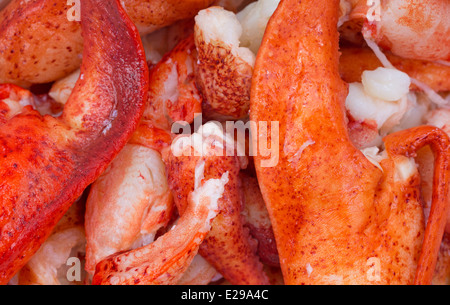 A very close view of meat from cooked lobster. Stock Photo