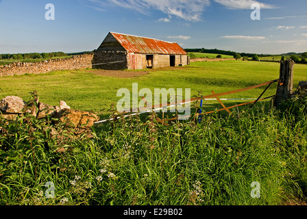 A typical stone barn from the Cotswolds stands on the edge of a small field,enclosed with a dry stone wall. Stock Photo
