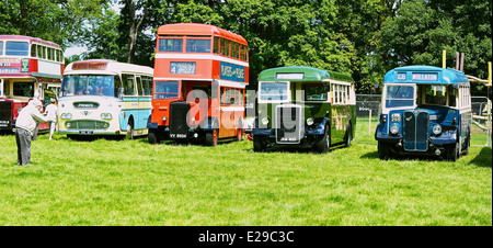 Line of vintage buses on display at Autokarna 2014 Wollaton Park Nottingham Nottinghamshire east Midlands England Europe Stock Photo