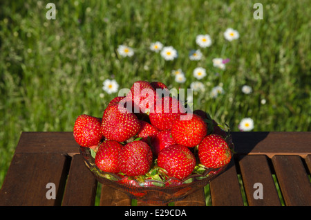 Fresh strawberries in a glass bowl on a table with daisies in the background Stock Photo