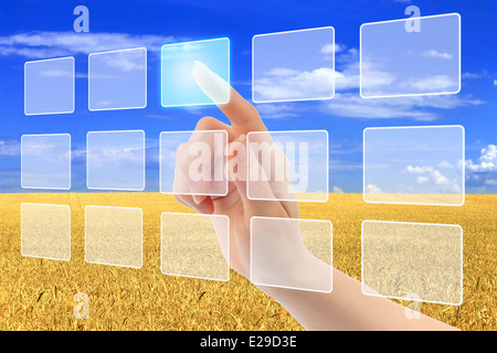 Woman hand pushing virtual icons on interface over wheat field and blue sky landscape Stock Photo