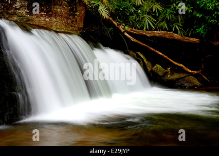 Vazhvanthol waterfalls Stock Photo