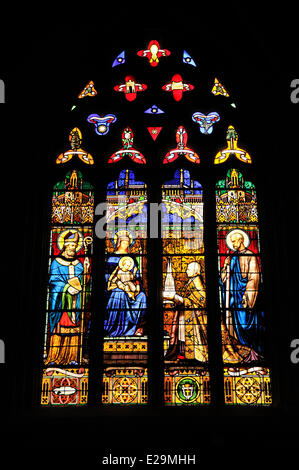 France, Finistere, Quimper, stained glass window in the cathedral Saint Corentin Stock Photo