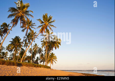 Brazil, Bahia State, Praia do Forte, seaside resort Stock Photo