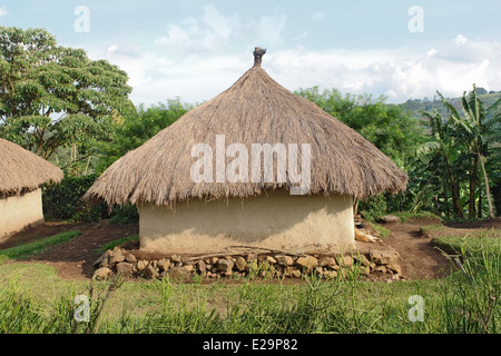 detail of a traditional small village near Rwenzori Mountains in Uganda (Africa) in sunny ambiance Stock Photo