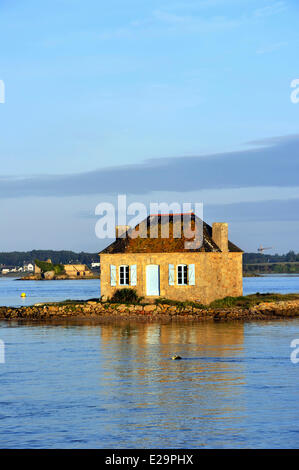 France, Morbihan, Etel River, ile de Saint Cado (Saint Cado's Island) Stock Photo