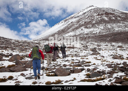 Bolivia, Potosi department, Eduardo Avaroa Andean Fauna National Reserve, climbers in the ascent of volcano Licancabur Stock Photo