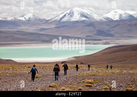 Bolivia, Potosi department, Eduardo Avaroa Andean Fauna National Reserve, hikers in the front of the Laguna Verde Stock Photo