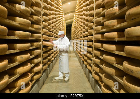France, Doubs, Saint Antoine, fruitere of Comte of Fort Saint Antoine, ripening cellar of Comte Marcel Petite, cheese maker Stock Photo