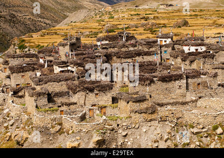 Nepal, Karnali Zone, Dolpo Region, Charkha, village Stock Photo