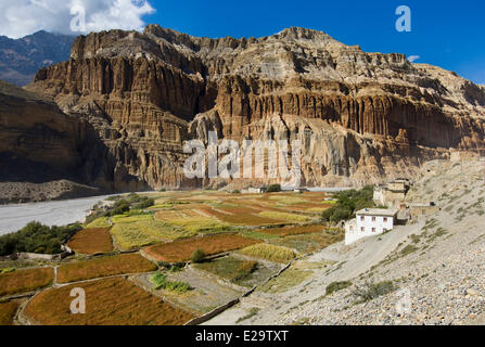 Nepal, Dhawalagiri Zone, Mustang District (former Kingdom of Lo), Chuksang Stock Photo