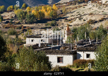 Nepal, Dhawalagiri Zone, Mustang District (former Kingdom of Lo), Geling Stock Photo