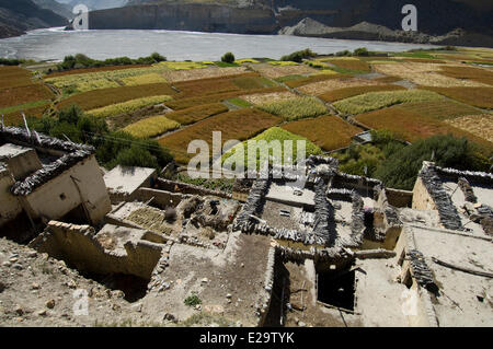 Nepal, Dhawalagiri Zone, Mustang District (former Kingdom of Lo), Chuksang Stock Photo