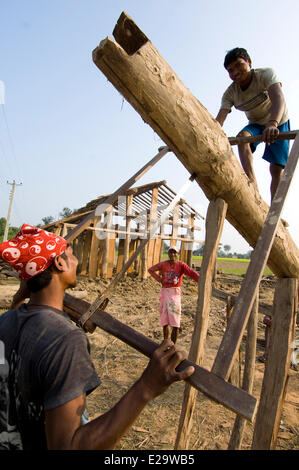 Nepal, Terai area, Seti Zone, Kailali District, traditional life of a village of Rana Tharu ethnic group, hand sawing Stock Photo