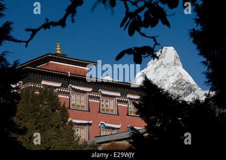 Nepal, Sagarmatha Zone, Khumbu Region, trek of the Everest Base Camp, Tengboche monastery in front of the Ama Dablam (6856 m) Stock Photo