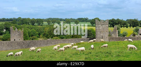 Ireland, County Kilkenny, Kells Priory (12th C) Stock Photo