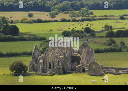 Ireland, County Tipperary, Cashel, Ruins of Hore Abbey (13th C) Stock Photo