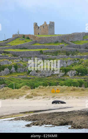 Ireland, County Galway, Aran Islands, Inisheer (Inis Oirr), O'Brien castle Stock Photo