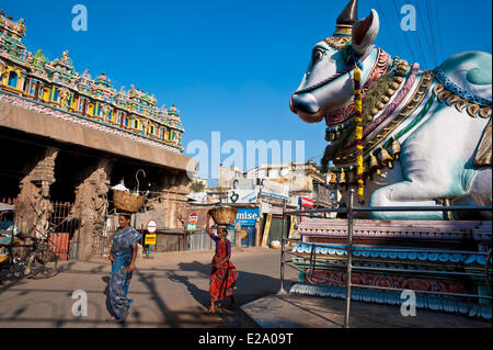 India, Tamil Nadu state, Madurai, the bull Nandi (vehicle of Shiva) near the Sri Meenakshi temple Stock Photo