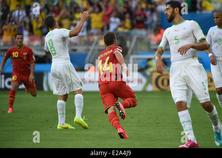 Belo Horizonte, Brazil. 17th June, 2014. Celebration of the goal of Dries Mertens (14), Belgium, on Algeria during valid match for Group H of the World Cup, in Mineirao Stadium in Belo Horizonte, southeastern Brazil, on June 17, 2014. Belgium won 2 to 1. Credit:  dpa picture alliance/Alamy Live News Stock Photo