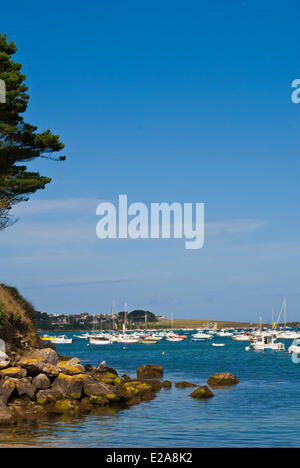 France, Finistere, Iroise Sea, Ploudalmezeau, Portsall, port Stock Photo