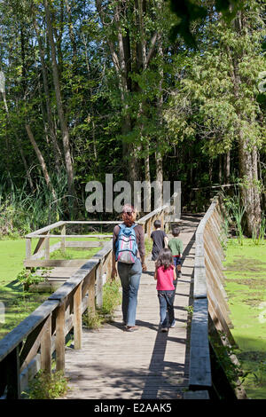 Canada, Quebec Province, Montreal, Sainte Anne de Bellevue, the Ecomuseum Zoo, mother and children Stock Photo