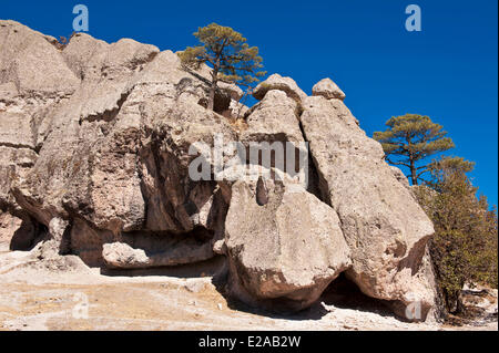 Mexico, Chihuahua state, Copper Canyon, close to Creel Stock Photo