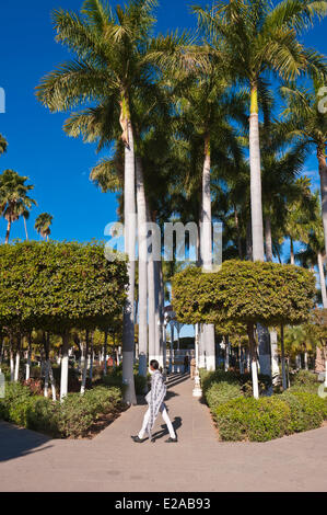 Mexico, Sierra Madre Occidental, Sinaloa State, El Fuerte, Plaza Mayor Stock Photo