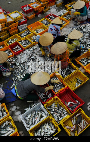 Vietnam, Ba Ria Vung Tau Province, Long Hai, fish market on the beach Stock Photo