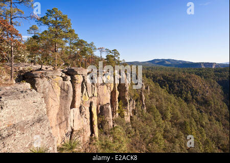 Mexico, Chihuahua State, Sierra Madre, Barranca del Cobre (Copper Canyon) Stock Photo