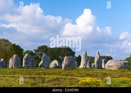 France, Morbihan, Carnac, Kermario megalithic alignments Stock Photo