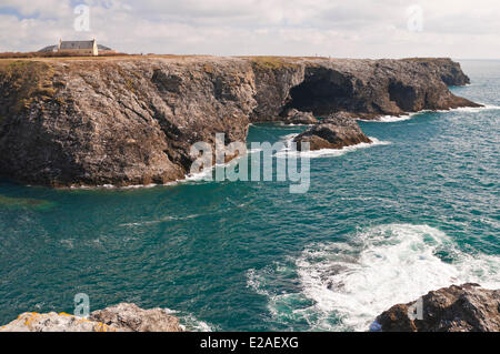 France, Morbihan, Belle Ile en Mer, the wild coast, along the GR340 between the Pointe des Poulains and Herlin beach (Bangor Stock Photo