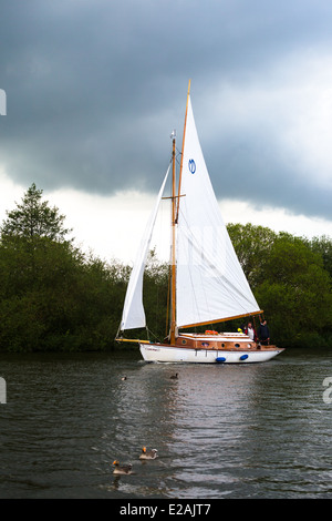 yachting. Malthouse Broad Ranworth Norfolk Broads England UK Stock Photo