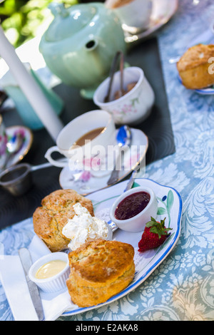 Enjoying afternoon cream tea with scones. cream and jam. Ludham village tearoom.  Staycation Norfolk broads England UK Stock Photo
