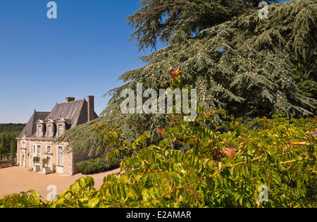 France, Indre et Loire, Chancay, Valmer castle, garden conservatory