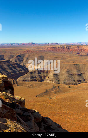 United States, Utah, Bluff area, Muley Point, near Mexican Hat, viewpoint at the edge of Cedar Mesa overlooking the deep canyon Stock Photo
