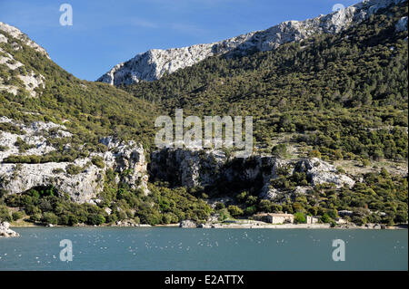 Spain, Balearic Islands, Mallorca, Gorg Blau, lake and barrage, white birds on the water Stock Photo