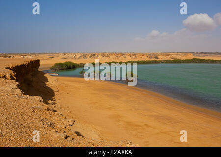 Punta Gallinas, La Guajira, Colombia Stock Photo - Alamy