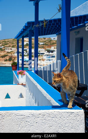 Greece, Cyclades, Lesser Cyclades, Donoussa Island, Stavros city and port Stock Photo