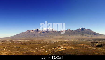 Peru, Arequipa Province, Arequipa, National Park of Salinas Aguada Blanca, Chachani volcano (6075 m) Stock Photo