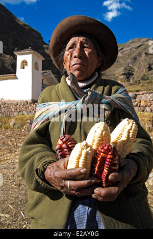 corn drying in the sun in the sacred valley of the Incas located in the ...