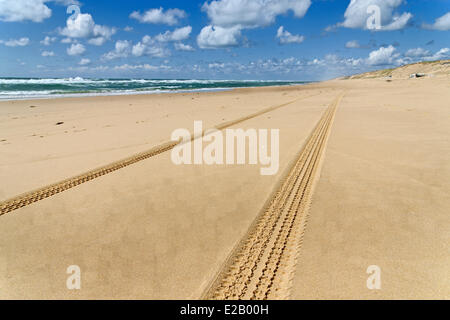 France, Gironde, Arcachon Bay, Cap Ferret, Plage de l'Horizon, car tire tracks in the sand of a beach Stock Photo